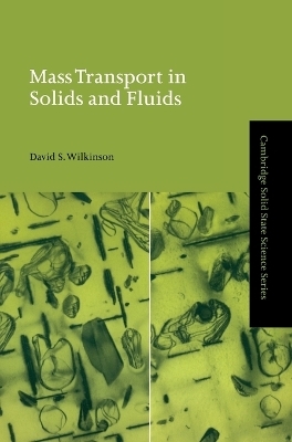 Mass Transport in Solids and Fluids - David S. Wilkinson
