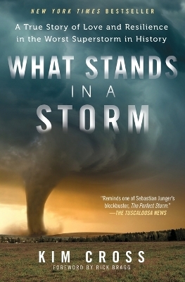 What Stands in a Storm - Kim Cross