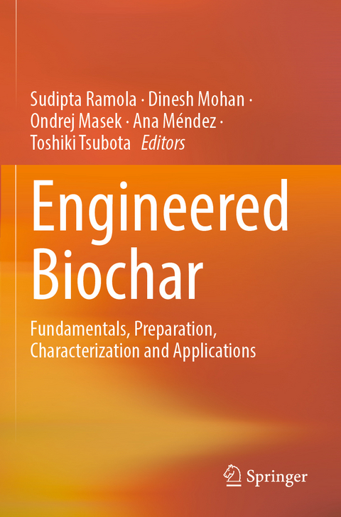 Engineered Biochar - 