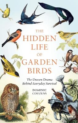 The Hidden Life of Garden Birds - Dominic Couzens