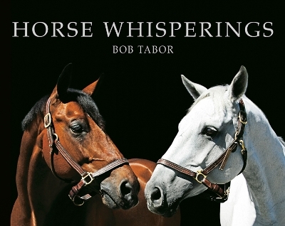 Horse Whisperings - Bob Tabor