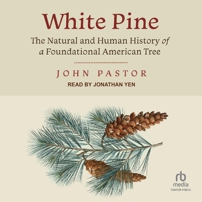 White Pine - John Pastor