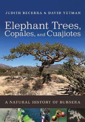 Elephant Trees, Copales, and Cuajiotes - Judith X. Becerra, David Yetman, Exequiel Ezcurra