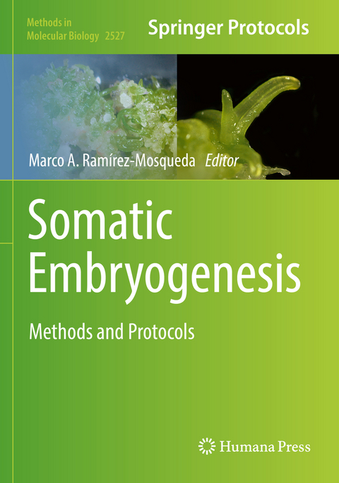 Somatic Embryogenesis - 