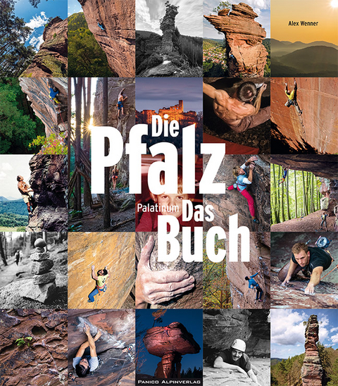 Die Pfalz. Das Buch. Palatinum - Alex Wenner