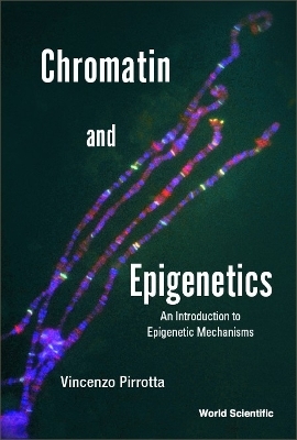 Chromatin And Epigenetics: An Introduction To Epigenetic Mechanisms - Vincenzo Pirrotta