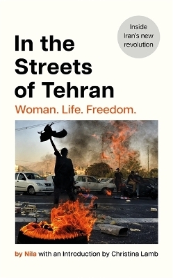 In the Streets of Tehran -  Nila