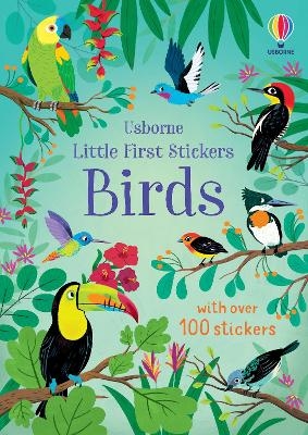 Little First Stickers Birds - Jane Bingham