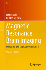 Magnetic Resonance Brain Imaging - Polzehl, Jörg; Tabelow, Karsten