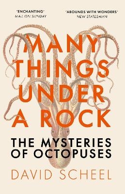 Many Things Under a Rock - David Scheel