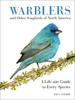 Warblers and Other Songbirds of North America -  Paul Sterry
