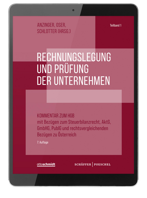 Rechnungslegung und Prüfung der Unternehmen (Online-Datenbank) - Peter Oser, Carsten Schlotter