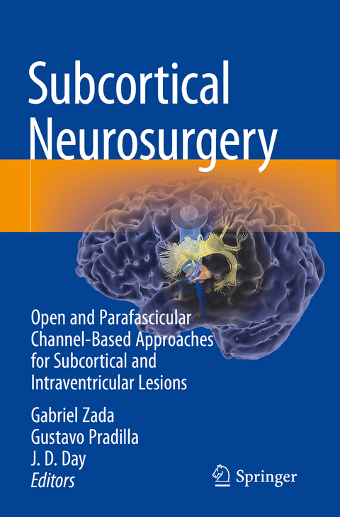 Subcortical Neurosurgery - 