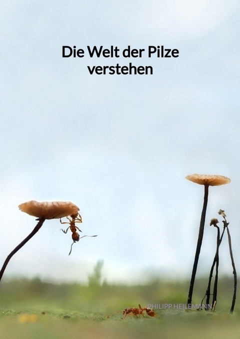 Die Welt der Pilze verstehen - Philipp Heilemann