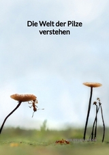 Die Welt der Pilze verstehen - Philipp Heilemann