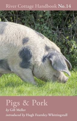 Pigs & Pork -  Gill Meller