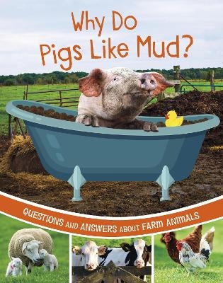 Why Do Pigs Like Mud? - Katherine Rawson
