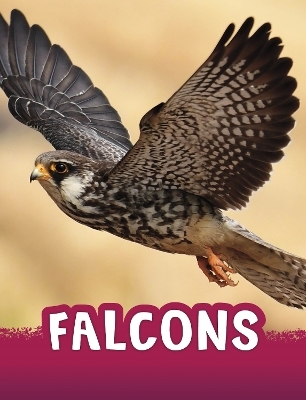 Falcons - Jaclyn Jaycox