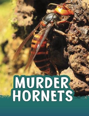 Murder Hornets - Jaclyn Jaycox