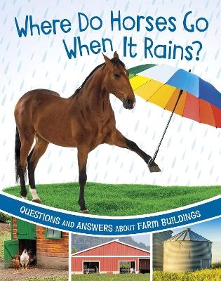 Where Do Horses Go When It Rains? - Katherine Rawson