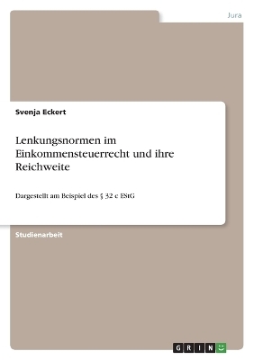 Lenkungsnormen im Einkommensteuerrecht und ihre Reichweite - Svenja Eckert