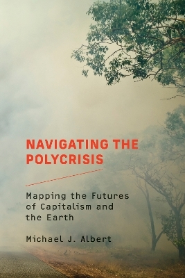 Navigating the Polycrisis - Michael J. Albert