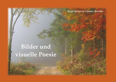 Bilder und visuelle Poesie - Birgit Bacher