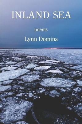 Inland Sea - Lynn Domina