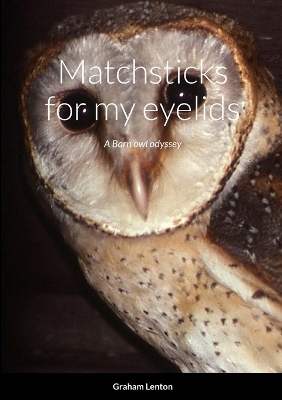 Matchsticks for my eyelids - Graham Lenton