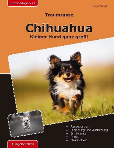 Traumrasse: Chihuahua - Bianca Thomsen