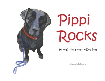 Pippi Rocks - Katherine L Babson