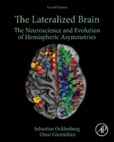 The Lateralized Brain - Ocklenburg, Sebastian; Güntürkün, Onur