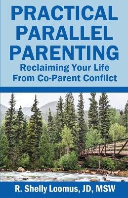 Practical Parallel Parenting - R Shelly Loomus Jd Msw