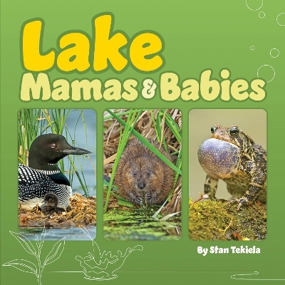 Lake Mamas and Babies - Stan Tekiela