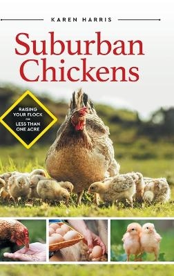 Suburban Chickens - Karen Harris