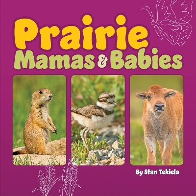 Prairie Mamas and Babies - Stan Tekiela