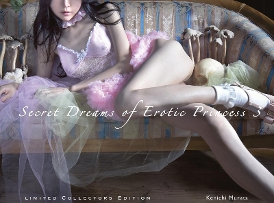 Secret Dreams of Erotic Princess 3 - 