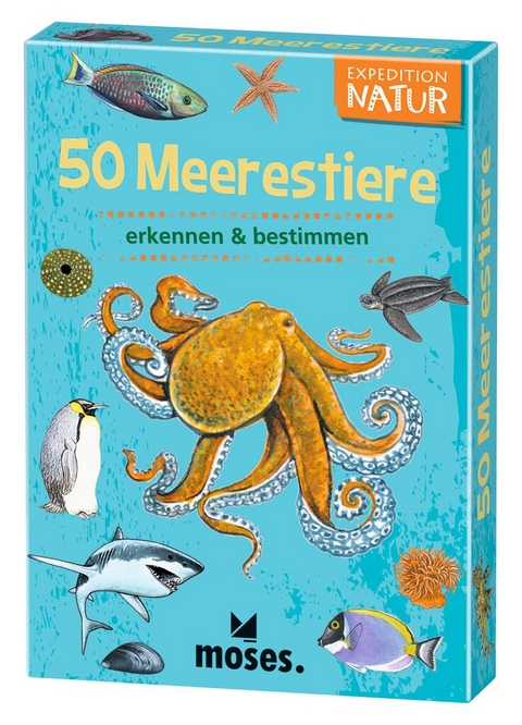 Expedition Natur 50 Meerestiere - Carola von Kessel