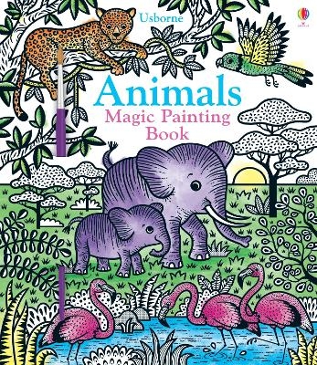 Animals Magic Painting Book - Sam Taplin