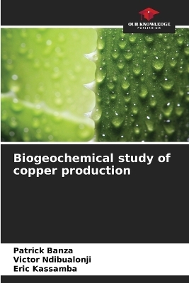 Biogeochemical study of copper production - Patrick Banza, Victor Ndibualonji, Eric Kassamba