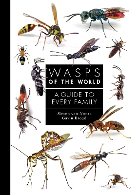 Wasps of the World - Simon van Noort, Gavin Broad