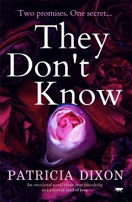 They Don't Know - Patricia Dixon