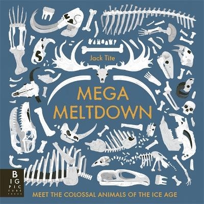 Mega Meltdown - Jack Tite