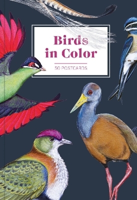 Birds in Color 50 Postcards - 