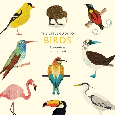 The Little Guide to Birds - Alison Davies