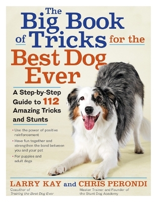 The Big Book of Tricks for the Best Dog Ever - Kay Larry, Larry Kay, Chris Perondi