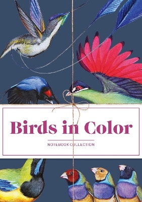 Birds in Color Notebooks - 