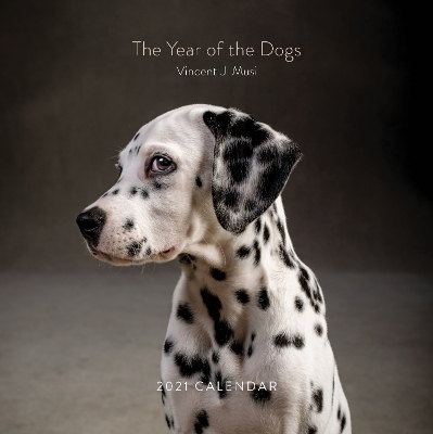 The Year of the Dogs 2021 Wall Calendar - 