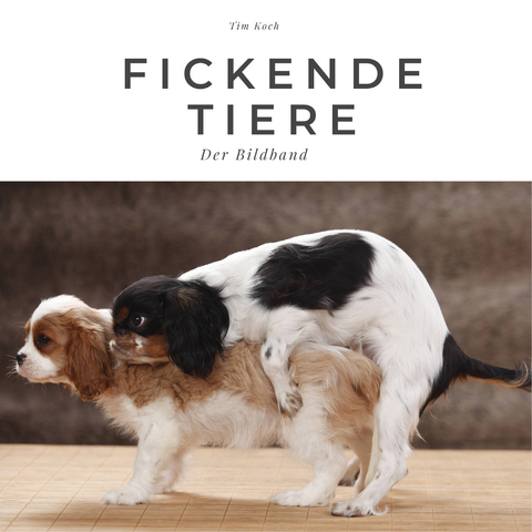 Fickende Tiere - Tim Koch