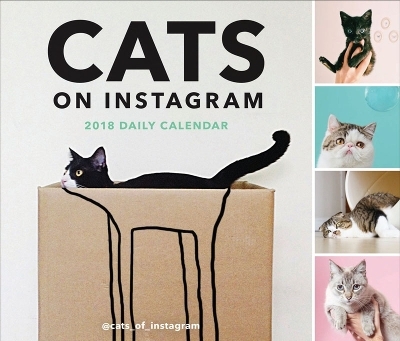 2018 Daily Calendar: Cats on Instagram -  @Cats_of_instagram